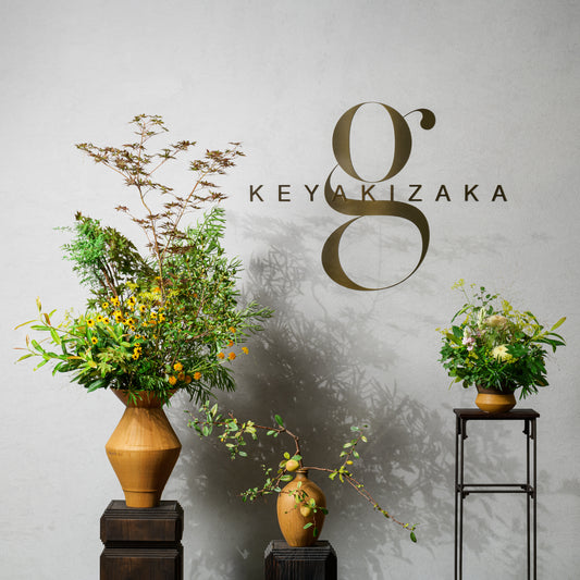 Keicondo展~拡張~ ご案内