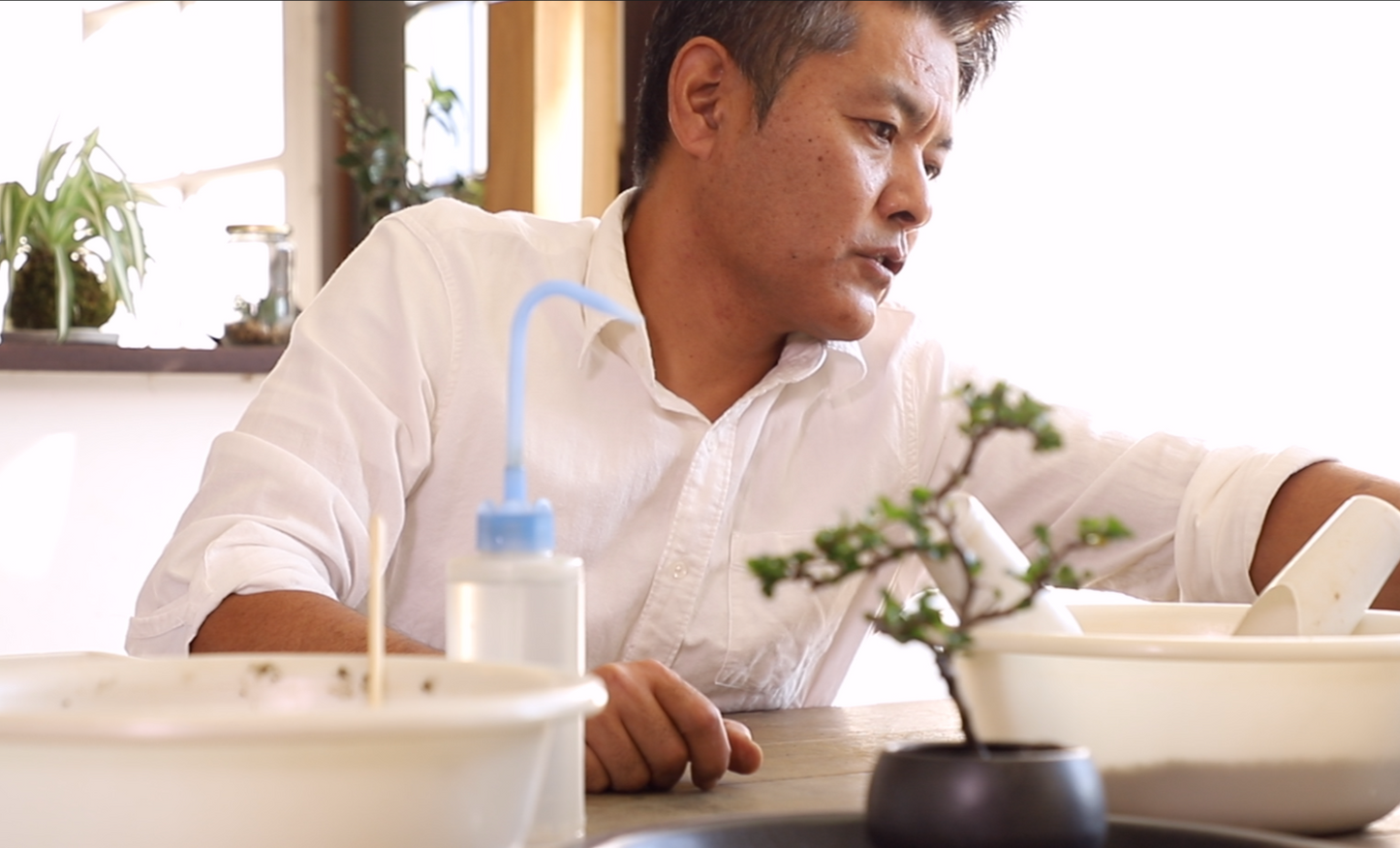 6/1(土)長寿梅の情景盆栽ワークショップ