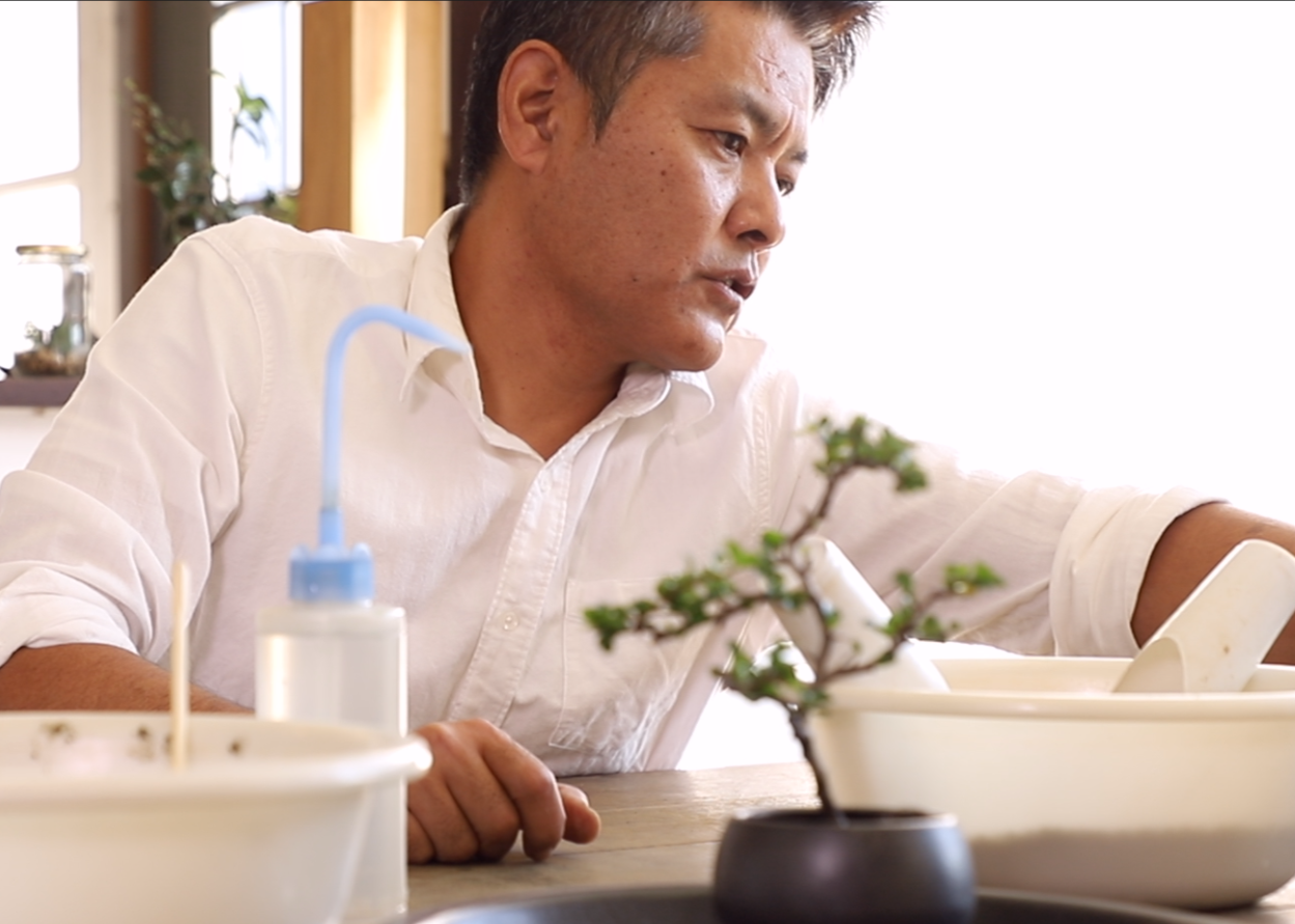 11/30(土)梅の花と香りを愉しむ…梅の情景盆栽