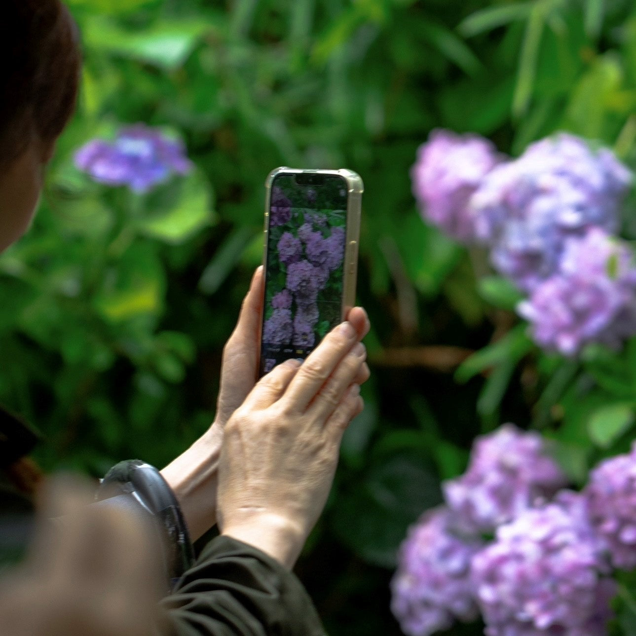 11/27(水)iphone でホリデーシーズンのキラキラ✨ イルミネーションを撮るコツ❣ 🎄