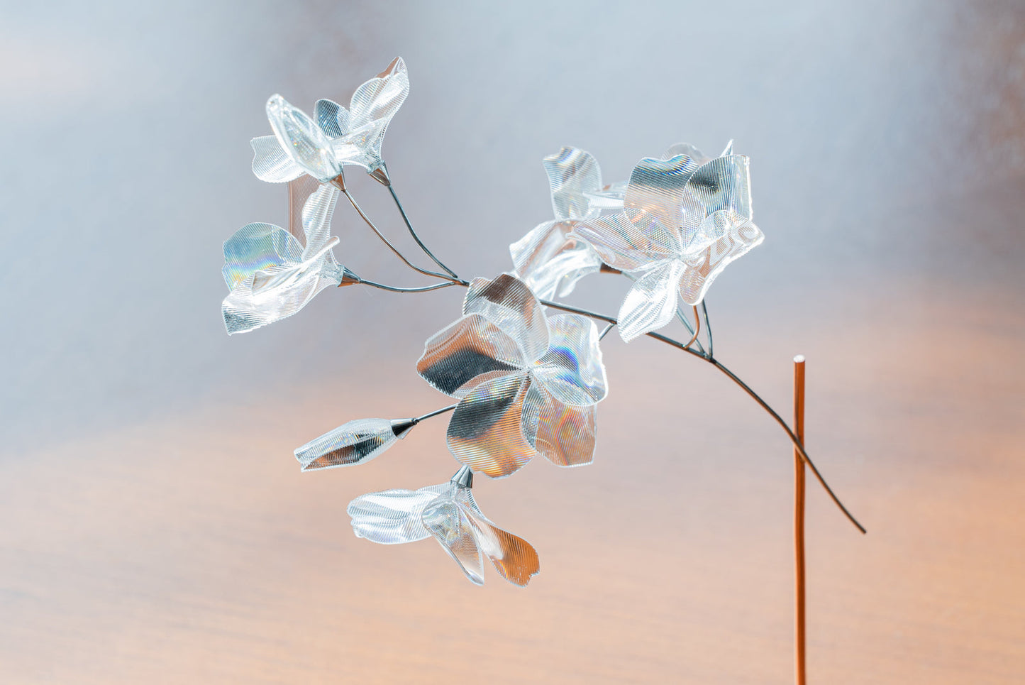 【EMISSION】SAKURA