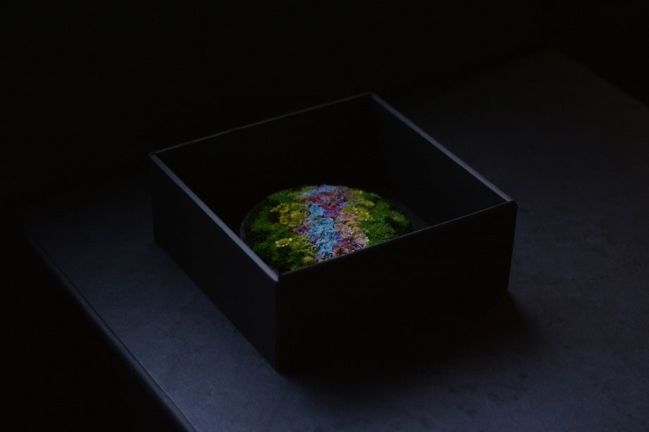【雨】Hanayama 小(プリザーブドフラワー)