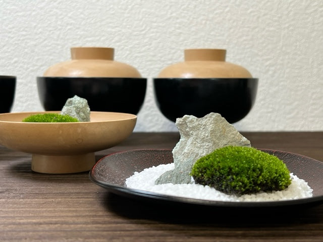禅の箱庭ワークショップ  ― 大安禅寺・高橋玄峰さんとともに、心をととのえるひととき ―