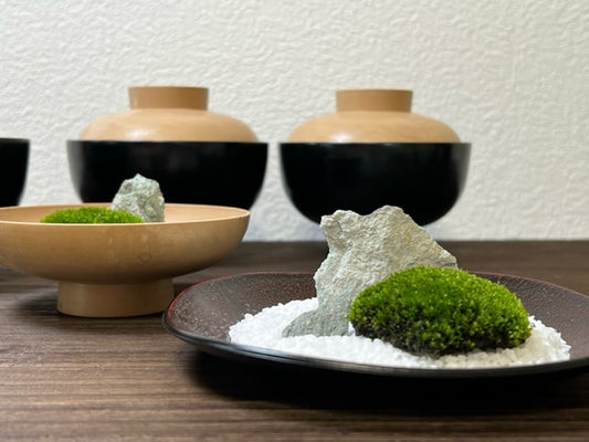 禅の箱庭ワークショップ  ― 大安禅寺・高橋玄峰さんとともに、心をととのえるひととき ―